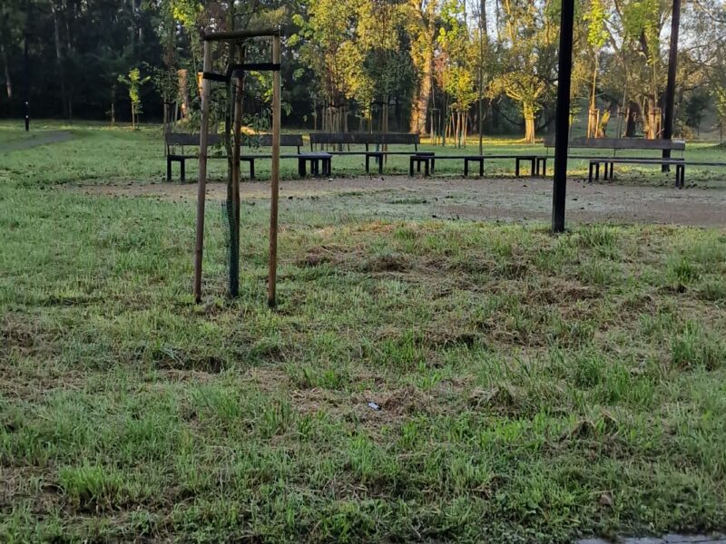 Miejsce parkingowe przy parku i rzece Soła w Oświęcimiu